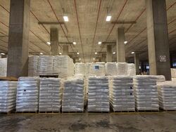 Benoi Crescent (D22), Warehouse #523597381
